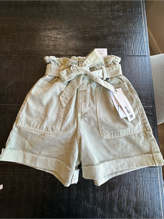 Zara Pants - Zara Light Sage Paperbag Belted Shorts